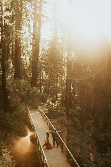 Big Sur Redwoods and Coast Engagement Redwood Engagement Photos, Sea Ranch, Engagement Season, Big Sur California, Engagement Inspo, Engagement Photo Poses, Elopement Ideas, Big Sur, Engagement Shoot