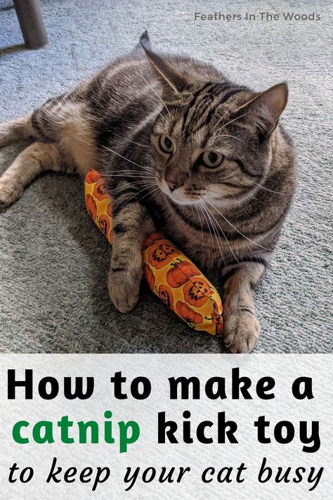 Make your cat a kick toy filled with catnip. Cat's love kick toys because they're the perfect length and size to wrestle with and kick at. Plus the catnip drives them crazy! #cattoy Diy Catnip Toys, Handmade Cat Toys, Natural Pet Care, Homemade Cat Toys, Diy Pet Toys, Diy Cat Toys, Cats Diy Projects, Cat Hacks, Homemade Cat