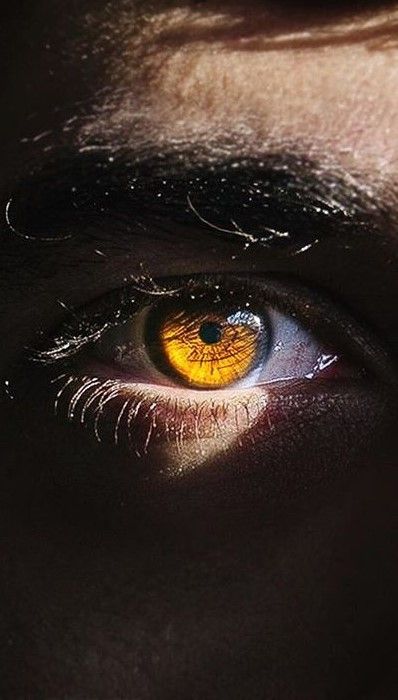 Brown Eyes Aesthetic, Werewolf Aesthetic, Amber Eyes, Photographie Portrait Inspiration, Golden Eyes, Eye Photography, Aesthetic Eyes, Gold Eyes, Yellow Eyes