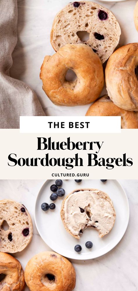 Blueberry Bagel Recipe, Blueberry Sourdough, New York Style Bagels, Blueberry Bagels, Sourdough Blueberry, Sourdough Starters, Blueberry Bagel, Natural Yeast, Sourdough Bagels