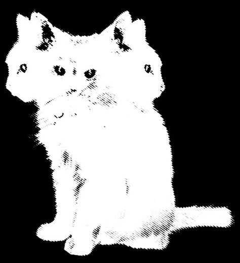 Black And White Images Aesthetic, Three Headed Cat, Dotted Drawings, Cat Dark, Monochrome Art, Comic Style Art, Graffiti Wallpaper, Iphone Wallpaper Photos, Black And White Background