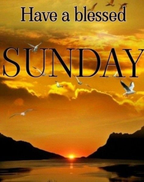 Sunday Morning Worship, Have A Blessed Sunday, Good Morning Sweetheart, Good Morning Sunday, Sweetheart Quotes, Sunday Blessings, Good Morning Blessings, Morning Sweetheart, Good Morning Sweetheart Quotes