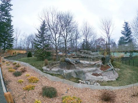 Red Panda Habitat, Zoo Exhibit, Panda Habitat, Detroit Zoo, Zoo Project, Zoo Architecture, Red Panda, Habitat, Planets