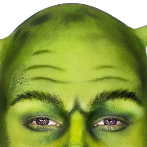 Shrek Face Paint, Shrek Makeup, Spider Lashes, Bald Cap, Liquid Latex, Loose Setting Powder, Lash Mascara, New Makeup, Halloween 2024