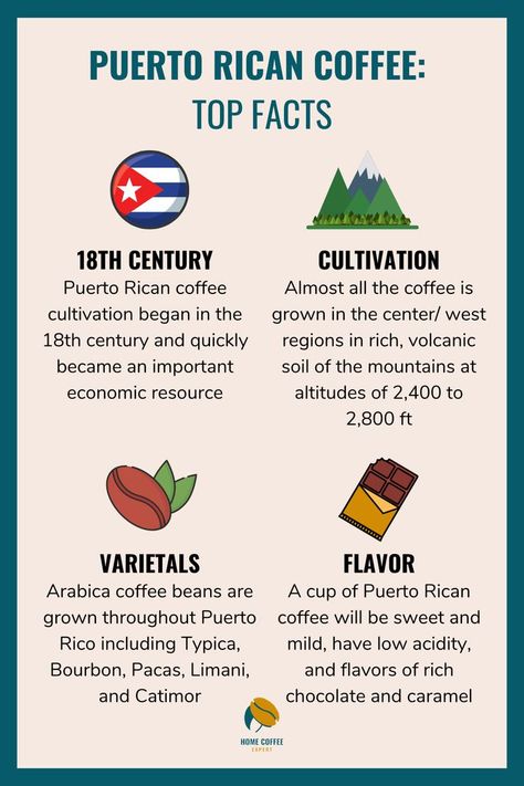 Puerto Rican Coffee: Top Facts including history, cultivation, varietals, and flavor Puerto Rico Coffee, Puerto Rican Coffee, Coffee Chart, Top Facts, Arabica Coffee Beans, Coffee World, Daylight Savings Time, Arabica Coffee, Important Facts