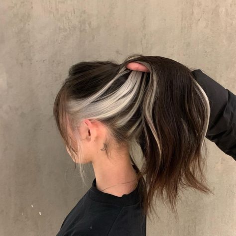 Bleach Stripe Hair, White Streak In Hair, White Hair Highlights, Black White Hair, Black And White Hair, White Hair Color, Hair Color Underneath, Peekaboo Hair, Hair Color Streaks