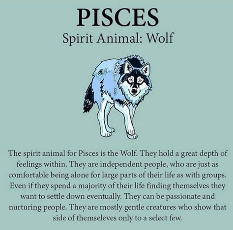 Zodia Pești, Pisces Personality, Pisces Horoscope, All About Pisces, Pisces Astrology, Pisces Traits, Pisces Girl, Pisces Quotes, Pisces Love