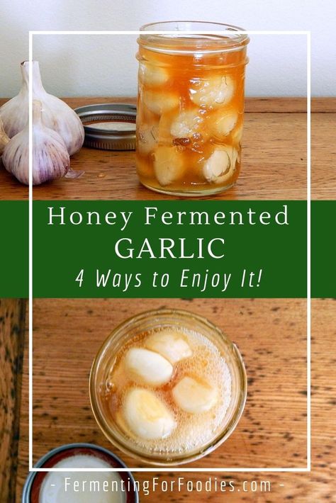 Honey Fermented Garlic, Eating Raw Garlic, Fermented Garlic, Fermented Honey, Garlic Honey, Fermented Veggies, Fermentation Recipes, Fermented Vegetables, Probiotic Foods