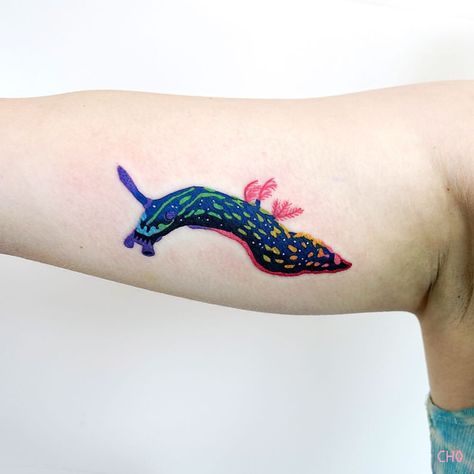 Nudibranch ❤️🧡💛💚💙💜 Nudibranch Tattoo, Biology Tattoo, Sea Life Tattoos, Print Making Designs, Science Tattoo, Russian Tattoo, Horror Tattoo, Stylist Tattoos, Desenho Tattoo