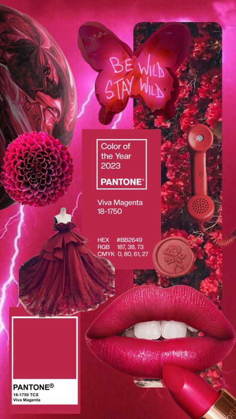 #magenta #colorinspo #coloraesthetic #magentatheme Viva Magenta Mood Board, Magenta Color Scheme, Viva Magenta Aesthetic, Magenta Aesthetic, 2023 Pantone, Vivid Magenta, Magenta Wedding, Bright Wedding Colors, Best Wedding Colors