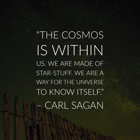 carl sagan quotes Carl Sagan Quotes, Cosmos Quotes, Astronomy Quotes, Space Quotes, Science Quotes, Universe Quotes, Carl Sagan, Science Facts, Quantum Physics