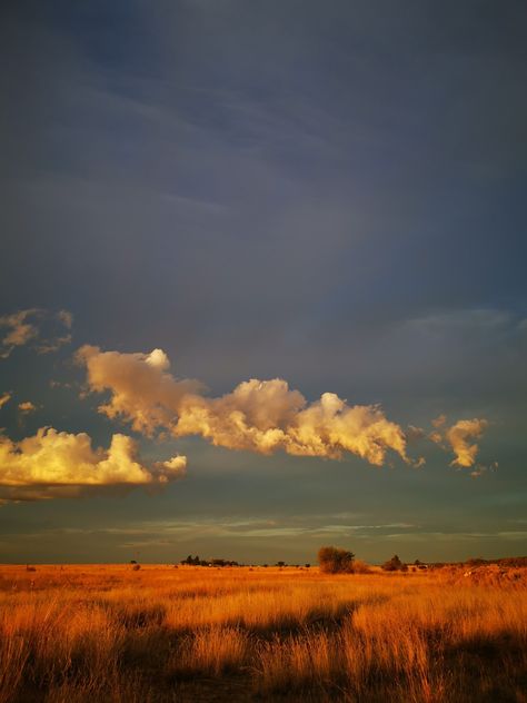 Golden Hour Landscape, Golden Hour Field, Sunset In Grass Field, Golden Wheat Field, Wheat Field Sunset, Sky Day, Free State, South Africa Travel, Autumn Scenery