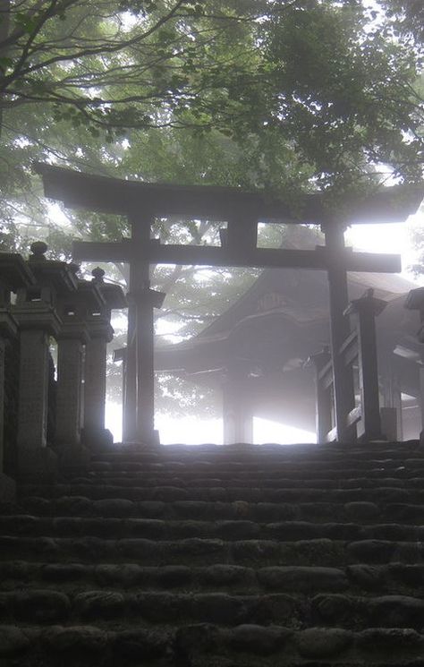 【 #architecture ⋮ #travel ⋮ #photography 】 The Kimono Gallery, Kimono Gallery, Torii Gate, Foggy Forest, Japan Aesthetic, Aesthetic Japan, Gallery Photo, Nature Aesthetic, Pretty Places