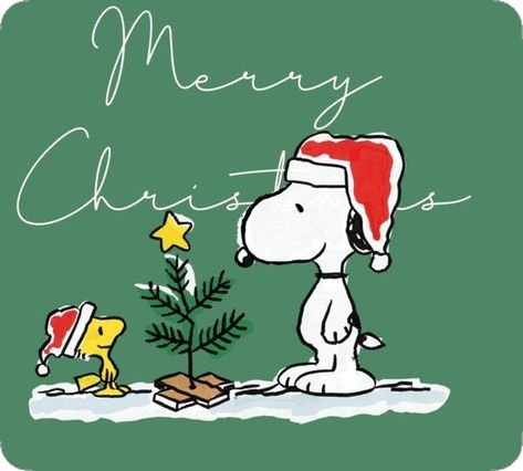 Merry Christmas Snoopy, Peanuts Art, Christmas Snoopy, Fb Cover Photos, Christmas Window Decorations, Snoopy Wallpaper, Window Decorations, Snoopy Quotes, Peanuts Christmas