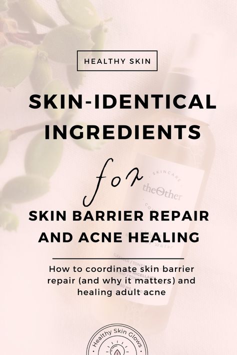 How to heal skin barrier repair, why it matters for clearing up adult acne and my fave products with skin-identical ingredients! via @healthyskinglows How To Heal Skin Barrier, Heal Skin Barrier, Repair Skin Barrier Products, Healing Skin Barrier, Recipes For Clear Skin, Acne Natural Remedies, Get Rid Of Acne Fast, Healing Acne, Acne Routine