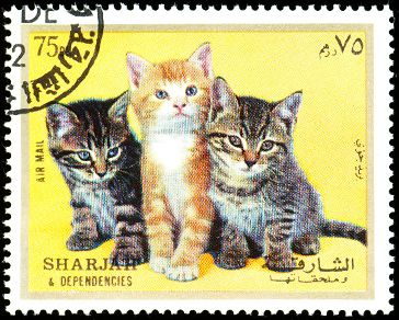 Sharjah United Arab Emirates, طوابع بريد, Cat Stamp, Postage Stamp Art, Letter Stamps, Post Stamp, Postal Stamps, Sharjah, Silly Cats