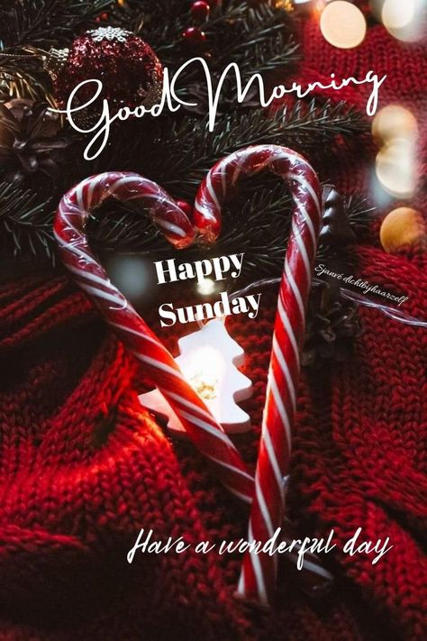 Christmas Goodmorning, Christmas Sunday, Good Morning Christmas, Good Morning Winter, Morning Christmas, Morning Winter, Sunday Greetings, Good Sunday Morning, December Quotes