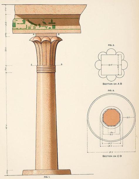 Egyptian Architecture, Ancient Egypt Architecture Drawing, Egyptian Columns Drawing, Egyptian Columns, Ancient Egypt Architecture Sketches, Egyptian Pillars, Ancient Egyptian Architecture Sketches, Ancient Egyptian Columns, Ancient Egypt Architecture