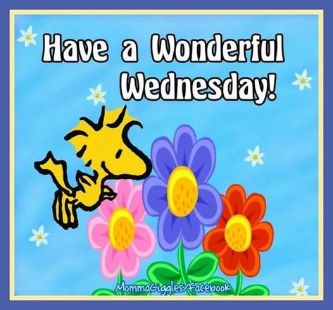 10 Wednesday Snoopy Quotes & Pictures Peanut Pictures, Have A Wonderful Wednesday, Wednesday Hump Day, Wednesday Greetings, Charlie Brown Quotes, Monday Morning Quotes, Good Morning Snoopy, Good Wednesday, Woodstock Peanuts