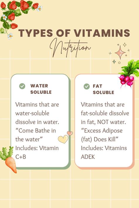 Exploring Water-Soluble and Fat-Soluble Vitamins | Nutrition Nursing Notes Bundle Nutrition Nursing, Water Soluble Vitamins, Types Of Vitamins, Bff Birthday Gift, Bff Birthday, Nursing School Notes, Fat Soluble Vitamins, B Complex, Vitamin B Complex