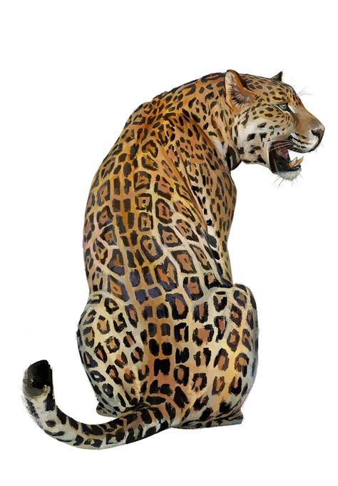 Jaguar Growling, Jaguar Reference, Jaguar Art, Jaguar Animal, Wild Animals Photography, Tree House Designs, Big Cats Art, Swag Art, Gesture Drawing