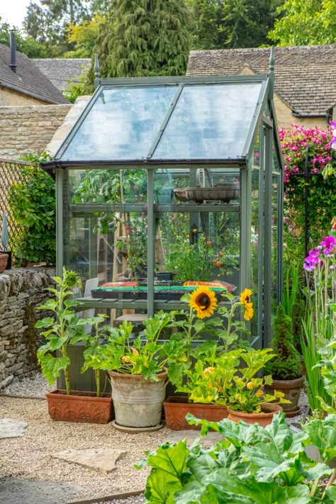 Backyard Greenhouse, Small Greenhouse, Real Homes, Dos And Don'ts, Garden Greenhouse, Greenhouse Gardening, Garden Cottage, Gardening For Kids, Small Gardens