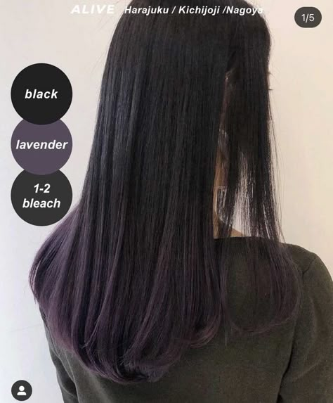 Dark Dark Purple Hair, Hair Color For Students, Dark Purple Highlights In Black Hair, Blackish Purple Hair, Subtle Purple Hair, Hair Ideas Female, Violet Black Hair, Wolf Cut Mullet, Korean Short Haircut