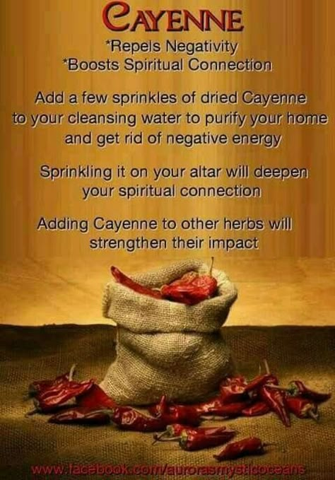 Cayenne……….Magickal Tips & Hints – Witches Of The Craft® Hoodoo Magic, Witchcraft Magic, Magickal Herbs, Witch Herbs, Green Witchcraft, Witch Stuff, Magic Herbs, Magical Herbs, Wiccan Spell Book