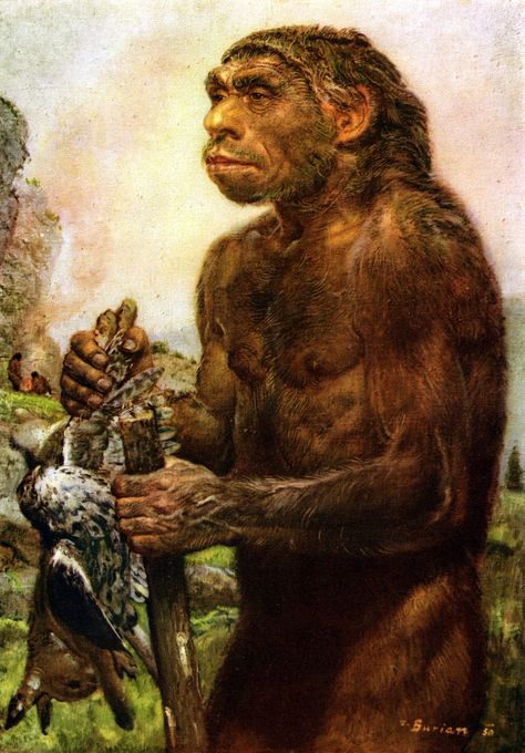 A Neanderthal by Zdenek Burian. Homo Habilis, Prehistoric Man, Early Man, Early Humans, Prehistoric World, Human Evolution, Prehistoric Art, Paleo Art, Dinosaur Art