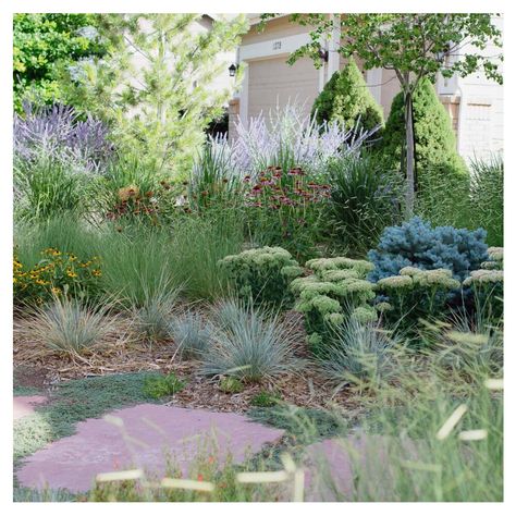 Colorado Landscaping, Colorado Aesthetic, Boulder Retaining Wall, Commercial Landscape Design, Commercial Landscape, Residential Landscaping, Stone Pool, Stone Retaining Wall, Commercial Landscaping