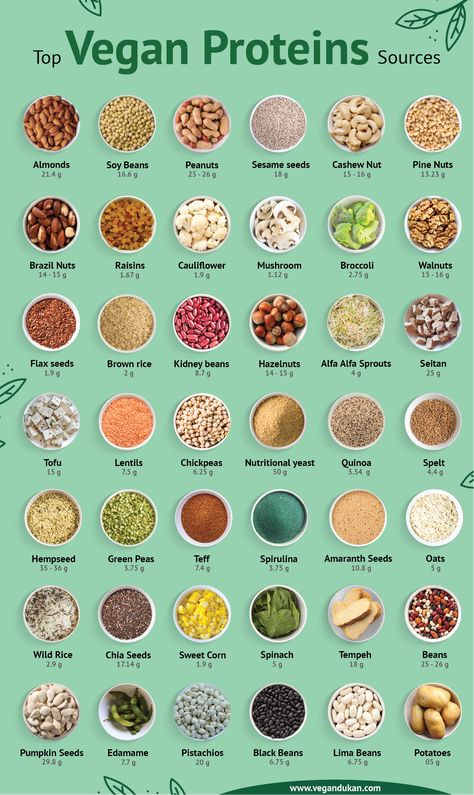 Vegan food are always surrounded by the myth of not having enough protein. To debunk this myth, we made a list of 40+ vegan food items along with their protein content per 100g Vegan Protein Sources, High Protein Vegan Recipes, High Protein Vegan, Vegan Nutrition, Vegan Meal Plans, Tasty Vegetarian Recipes, Think Food, Diet Vegetarian, Vegan Protein