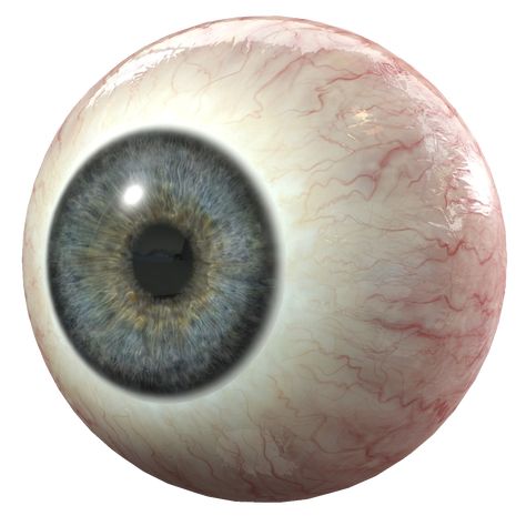 Eye Png, 3d Computer Graphics, Arte Cyberpunk, Human Eye, Png Icons, Computer Graphics, Halloween Pictures, Eye Drawing, Image Hd