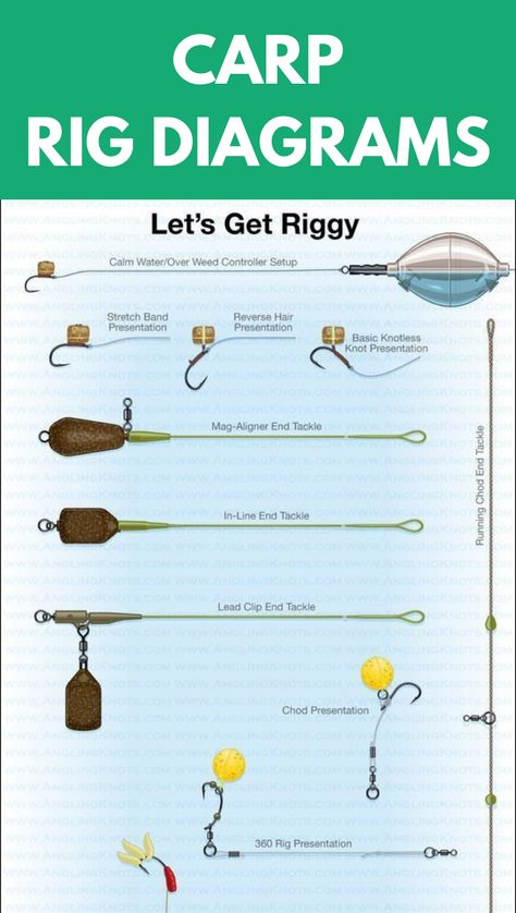 A great diagram below showing you the various carp rigs. This will give you an indication to what your rigs should look like! #carp #rig #diagrams Carp Fishing Tips, Carp Fishing Rigs, Carp Rigs, Fishing For Beginners, Survival Life Hacks, Fishing Rigs, Fishing Knots, Diagram Design, Survival Life