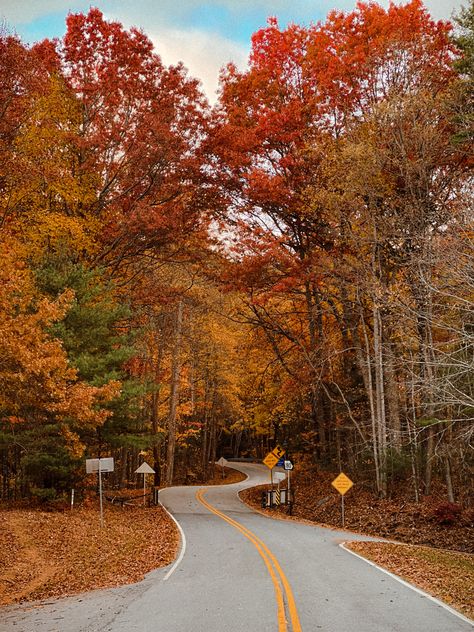 Georgia Fall Foliage, Fall In Georgia, Georgia Fall, Pennsylvania Fall Foliage, Autumn In Georgia, Autumn Foliage, Autumn In New York, Fall Is Here, Best Seasons