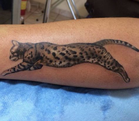 14 Best Tattoo Ideas For Bengal Cat Lovers | PetPress Bengal Cat Tattoo, Bengal Tattoo, Animal Rescue Tattoo, Cat And Dog Tattoo, Cat Tattoo Ideas, Cat Behavior Problems, Leopard Tattoos, C Tattoo, Bengal Kitten