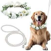 Pet Wedding Photos, Dog Wedding Attire, Dog Pearls, Dog Leash Training, Beaded Dog Collar, Flower Collar, Dog Collar Bows, Dog Flower Collar, Dog Flower