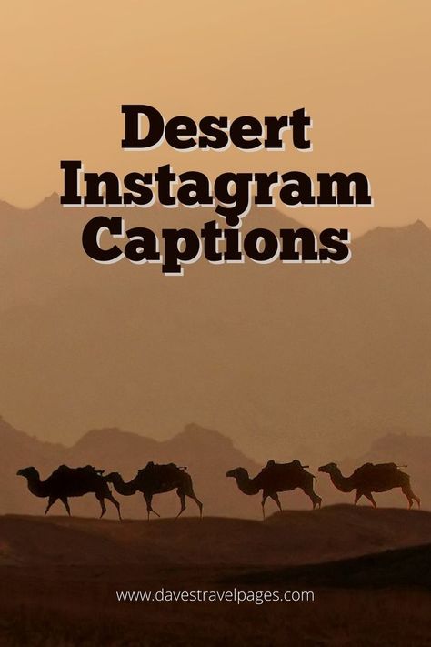 Are you planning a trip to the desert soon? If so, you'll want to make sure you have some great Instagram captions ready to go! Here are some of our favorites. Desert Vibes Quotes, Caption For Desert Picture, Camel Ride Captions For Instagram, Egypt Captions Instagram, Quotes About The Desert, Desert Quotes Instagram, Desert Captions For Instagram, Egypt Quotes, Egypt Quote