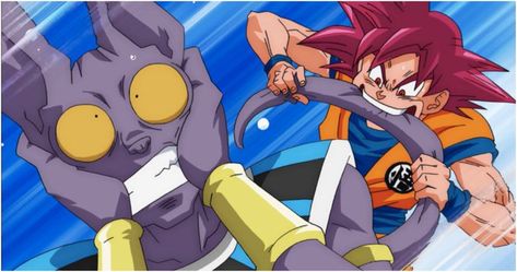 Goku Vs Beerus, Lord Beerus, Love Cartoon Couple, Goku Vs, Purple Cat, Dragon Balls, Anime Merchandise, Anime Costumes, Anime Hoodie