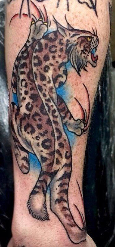 Bob Cat Tattoo, Traditional Bobcat Tattoo, Jaguar Tattoo Traditional, Bobcat Tattoos, Rhino Tattoo, Jaguar Tattoo, Full Body Tattoo, Traditional Tattoos, American Traditional Tattoo