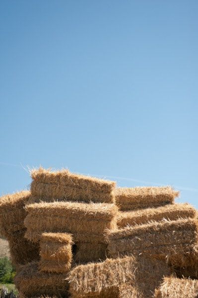 The Older Square Bales Of Hay Bailing Hay, Baling Hay, Hay Bail, Adorable Rabbits, Hay Field, Family Style Table, Farm Photography, Summer Scenes, Hay Bales