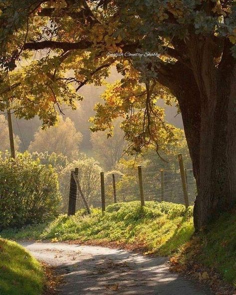 Pretty Landscapes, Follow Back, Porcelain Doll, The Walk, Just Breathe, English Countryside, Nature Aesthetic, Pretty Places, Fantasy Landscape