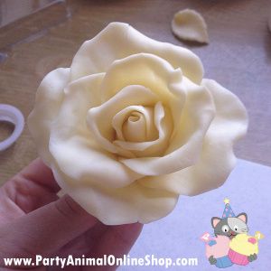 Making a Rose with White Chocolate Modelling Paste Steph @ PartyAnimalOnline Modeling Chocolate Figures, Modeling Chocolate Recipes, Chocolate Work, Modelling Chocolate, Chocolate Roses, Chocolate Flowers, Chocolate Art, Modeling Chocolate, Fondant Flowers