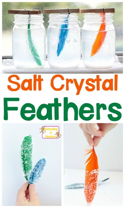 If you're looking for simple science projects, the salt crystal feathers are so much fun! These homemade salt crystals are the perfect salt crystal project and you can learn how to make salt crystals fast for any salt crystals science project. #scienceprojects #science #scienceexperiments #stemactivities Simple Science Projects, Science Crafts For Kids, Vetenskapliga Experiment, Easy Science Projects, Science Art Projects, Science Experience, Kid Science, Science Experiments For Preschoolers, Simple Science