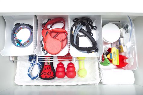 A Pretty Organized Doggy Drawer Dog Supplies Storage, Dog Supplies Organization, Pet Supplies Organization, Pet Station, Dog Storage, Dog Organization, Celebrity Dogs, Dog Toy Storage, Pet Organization