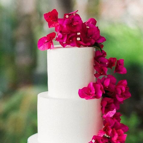 A Wild Frolic through a Flower Dreamland on Instagram: "Let's start the week off RIGHT & BRIGHT with this fabulous cake from Kate & Cameron's wedding! What's better than a gorgeous wedding cake bedecked with cake art and fresh flowers............ Why a gorgeous cake on a bed of BEAUTIFUL BLOOMS of course! Photographer @gideonphoto Planning @lovealways_planning Design @tularosaflowers Cake @cutecakes Venue @lavalenciahotel" Bougainvillea Wedding Cake, Bougainvillea Cake, Naxos Wedding, Mexican Wedding Decorations, Bougainvillea Wedding, Fuschia Wedding, Boho Cake, Decor Color Palette, Pink Wedding Cake