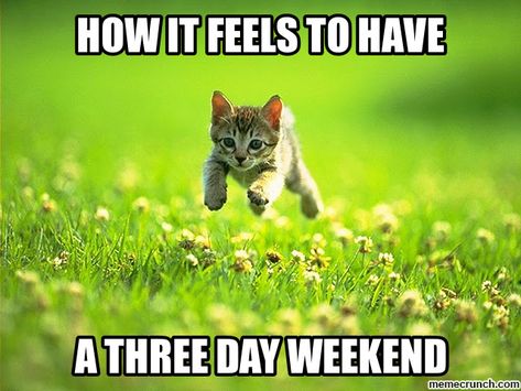 Happy Friday! We hope you will be able to enjoy this 3 day weekend as we celebrate Memorial Day!  #weekend #friday #friyay #relax #friends #family #fun #memorialday #honorourtroops #remember #veterans #threedayweekend Weekend Meme, Last Day At Work, Three Day Weekend, Speak Spanish, Weekend Quotes, Weekend Humor, Drum Corps, First Day Of Summer, School Memes