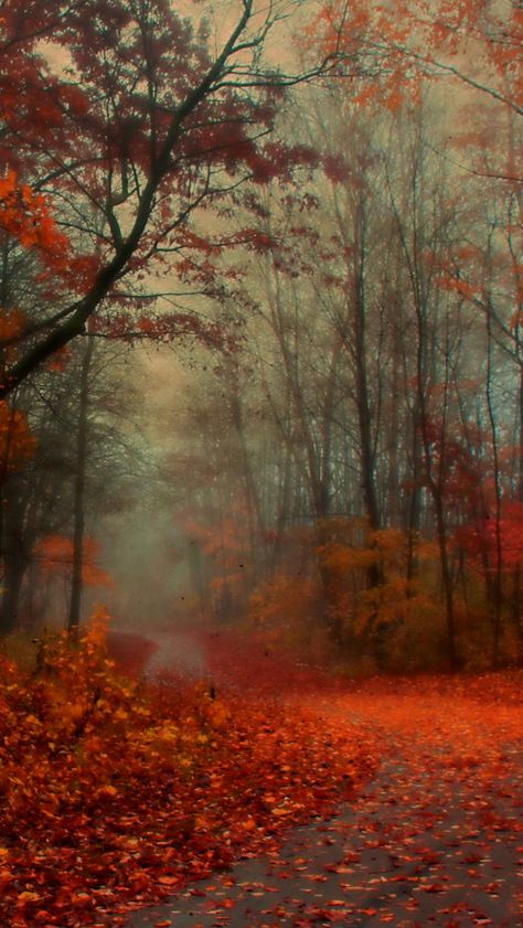 Romantic Autumn iPhone 5s Wallpaper Download | iPhone Wallpapers, iPad wallpapers One-stop Download Ipad Wallpaper Watercolor, Fall Landscapes, Desenho Tom E Jerry, Romantic Autumn, Iphone 5s Wallpaper, Ipad Air Wallpaper, Romantic Wallpaper, Iphone Wallpaper Fall, Ipad Background