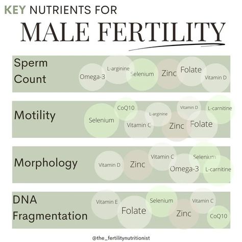 Grace |The Fertility Nutritionist (BSc.H) | KEY nutrients to improve male fertility! 📉The health of sperm is at an all-time low, and the depths of the problem aren't being discussed... | Instagram Men’s Fertility Diet, Fertility Supplements For Men, Fertility Foods For Men, Increase Male Fertility, Men’s Fertility, Male Fertility Supplements, Male Fertility Foods, Male Fertility Boost, Fertility Tracking