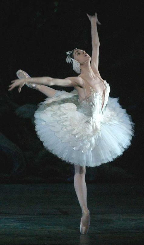 Paloma Herrera as Odette in Swanlake Music Box Ballerina, Swan Lake Ballet, Dance Magazine, Ballet Pictures, Ballet Beauty, Dance Dreams, Ballet Poses, Ballet Inspiration, American Ballet Theatre