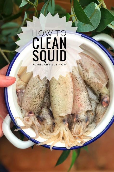 How To Clean Squid For Calamari, How To Clean Octopus, Whole Squid Recipes, How To Cook Squid, Squid Recipes Asian, Squid Recipes Easy, Cooking Squid, Octopus Recipes, Grilled Squid